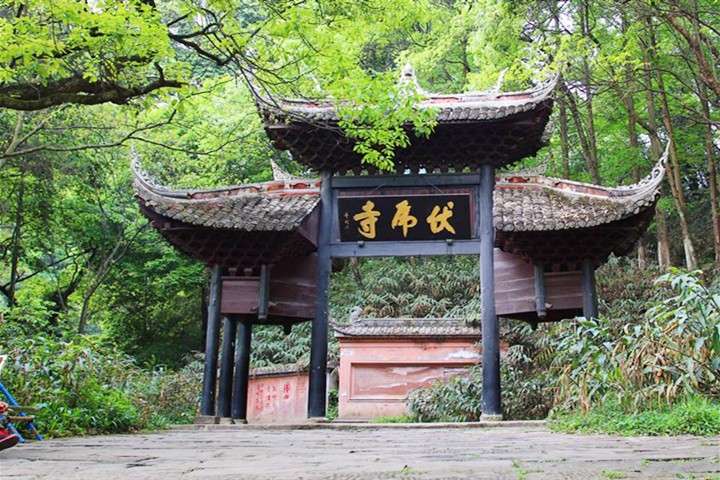"Fireworks of that year" -- mysterious tour of Emei Mountain