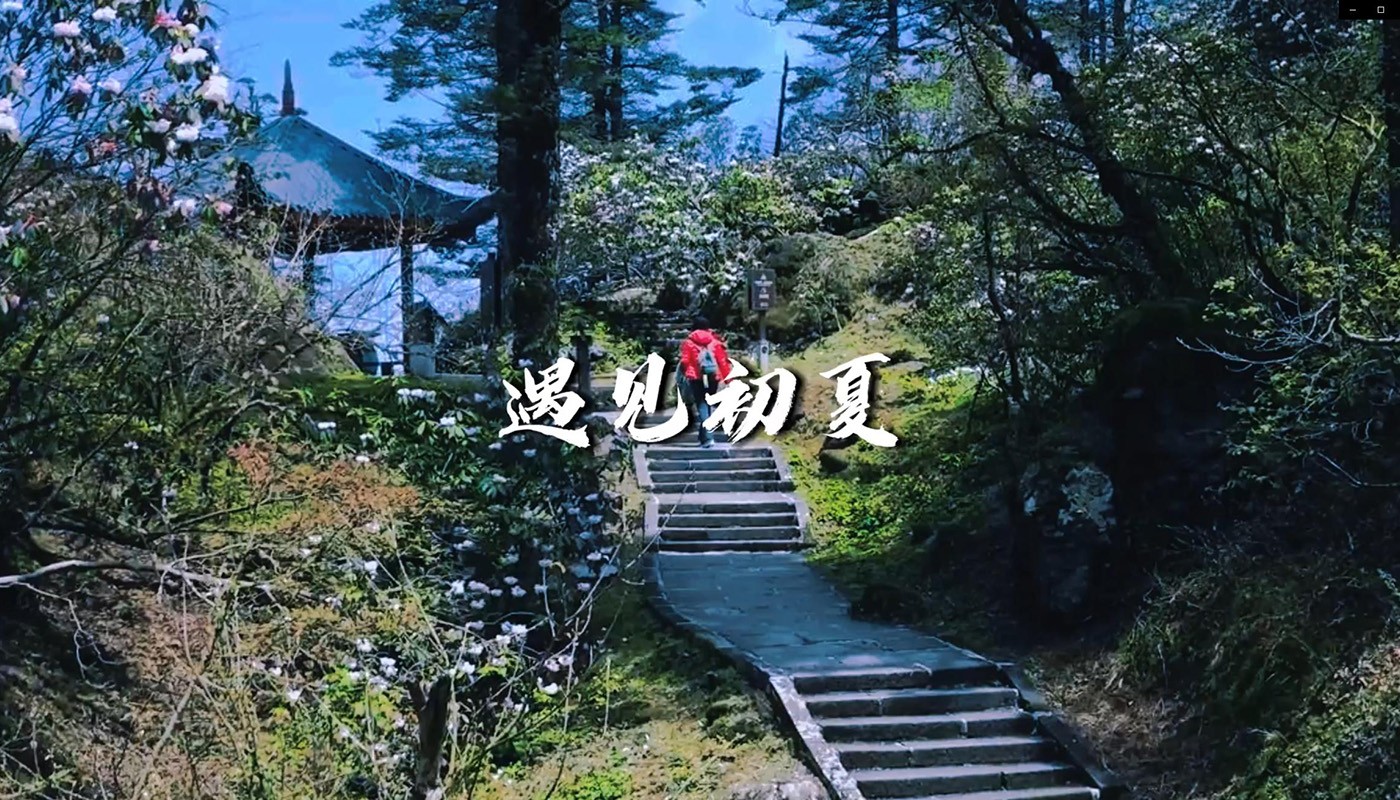 Meeting in the Summer of Leshan