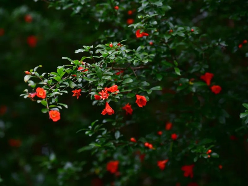 The sense of relaxation is at its fullest! This laid-back journey in spring starts from Jiadingfang.