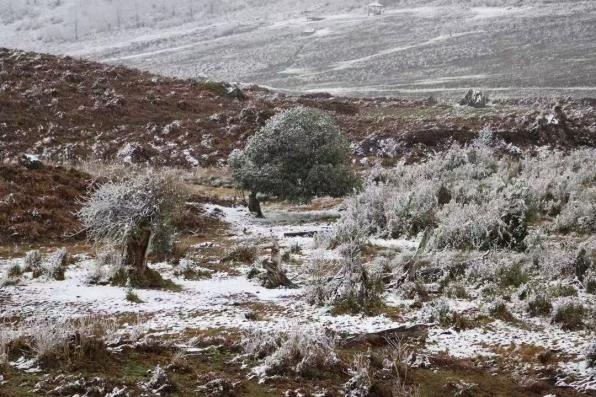Winter Wonderland Mode Activated at Heizhugou