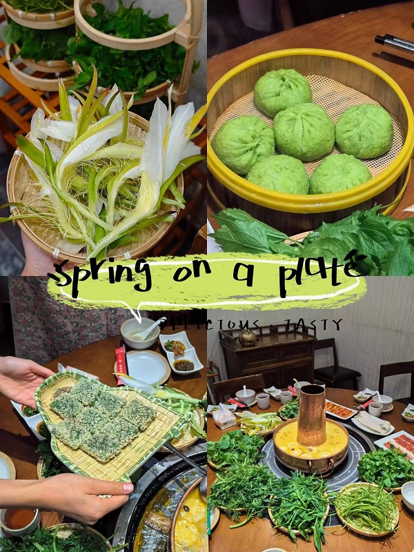 Spring Has Sprung — Time to Forage for Wild Greens!