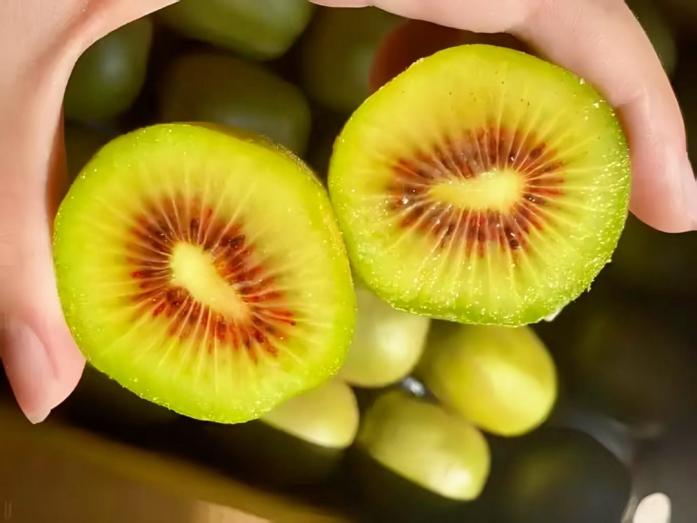 Time for some sweet "kiwi" moments! Muchuan's red‑fleshed kiwifruit is ripe and ready for 