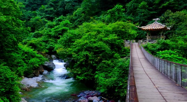Moss‑draped ancient trees, streams cutting through gorges – Fengchao Rock in Heizhugou is as beautif