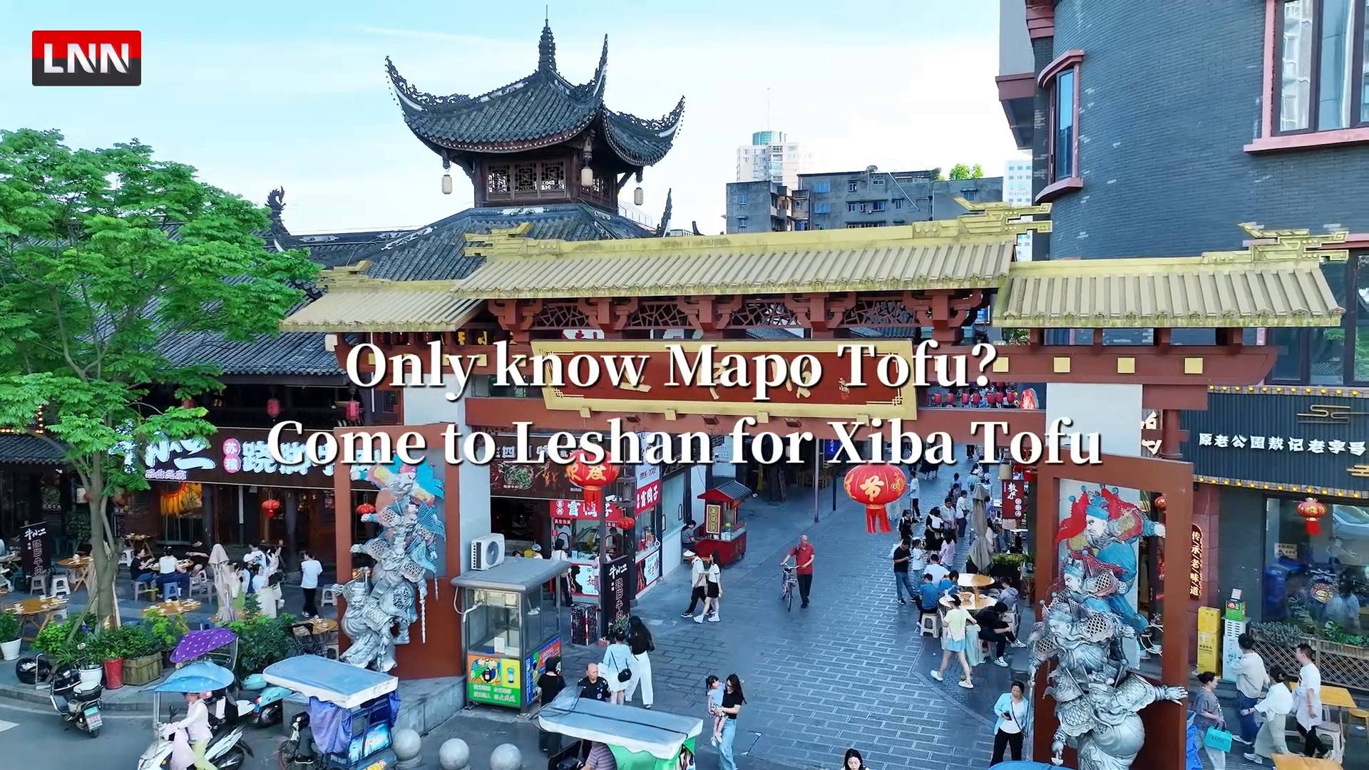 Only know Mapo Tofu? Come to Leshan for Xiba Tofu