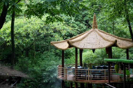 A touch of Southeast Asia hidden in the Shawan hills – Huixian Xiaozhu is cool, quiet, and incredibl