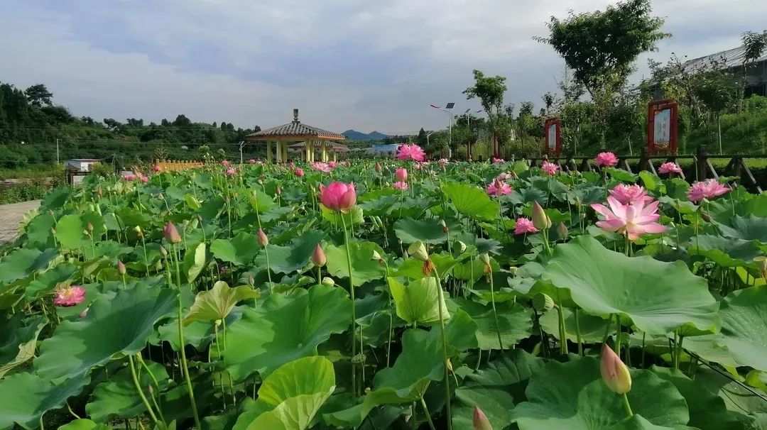 31 things you must do when you come to Jingyan! Every thing is very wow~(图23)