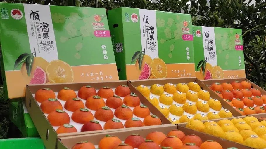 31 things you must do when you come to Jingyan! Every thing is very wow~(图28)