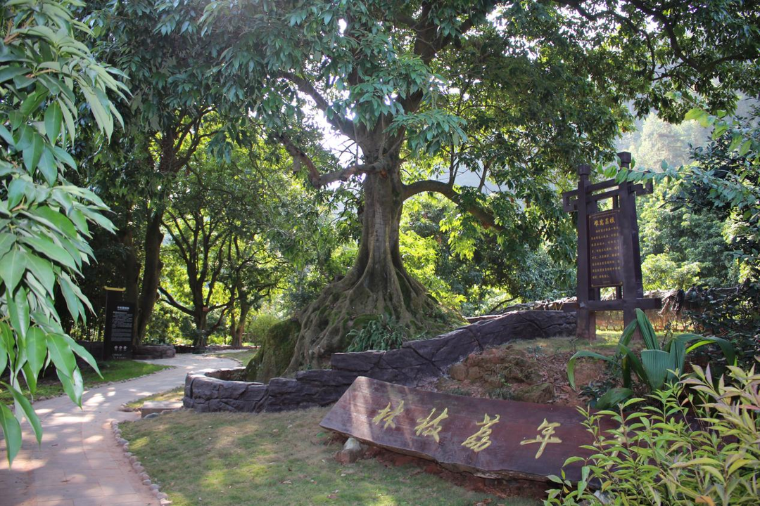 This is Yuelai Township! Food and beautiful views are here(图1)