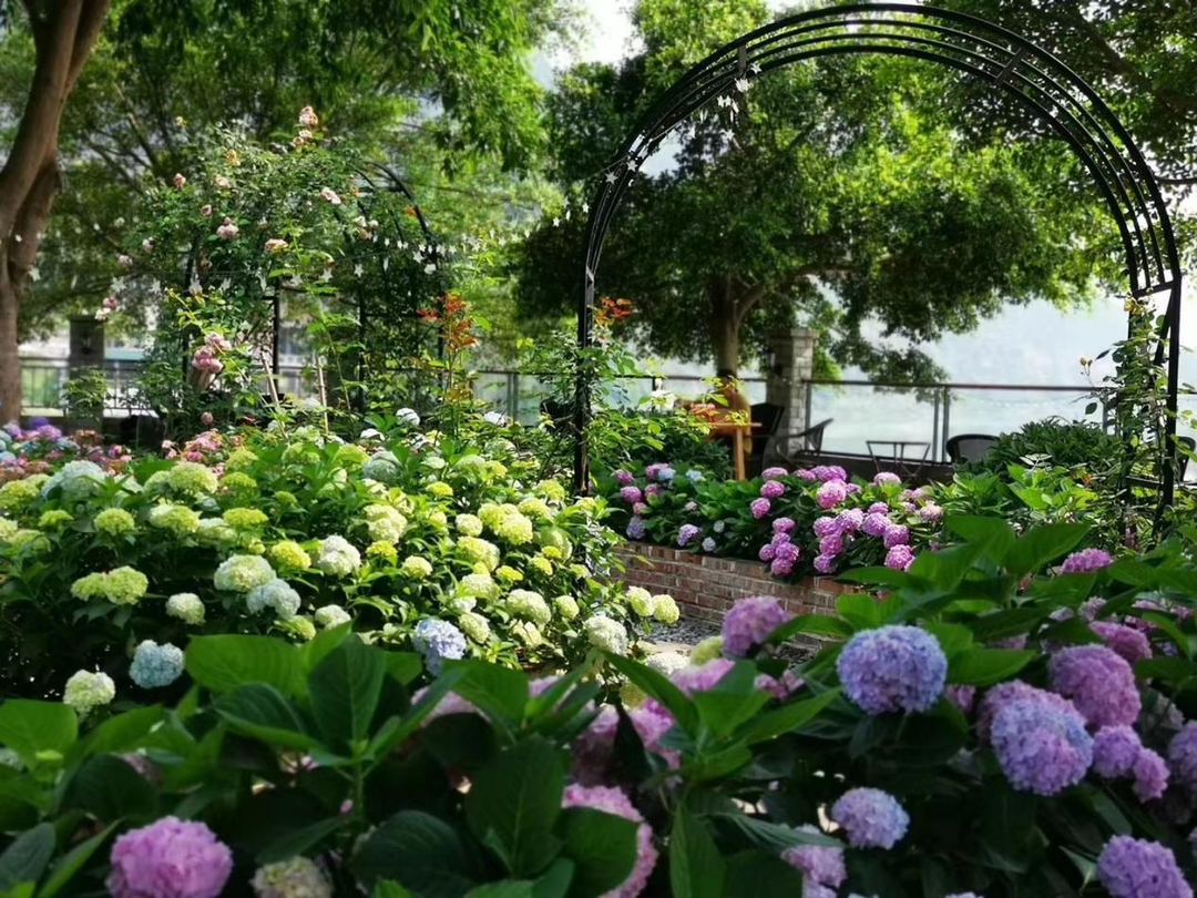 This is Yuelai Township! Food and beautiful views are here(图4)