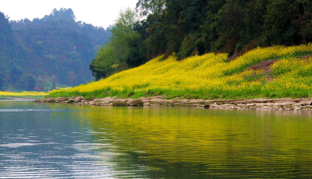 This is Yuelai Township! Food and beautiful views are here(图10)