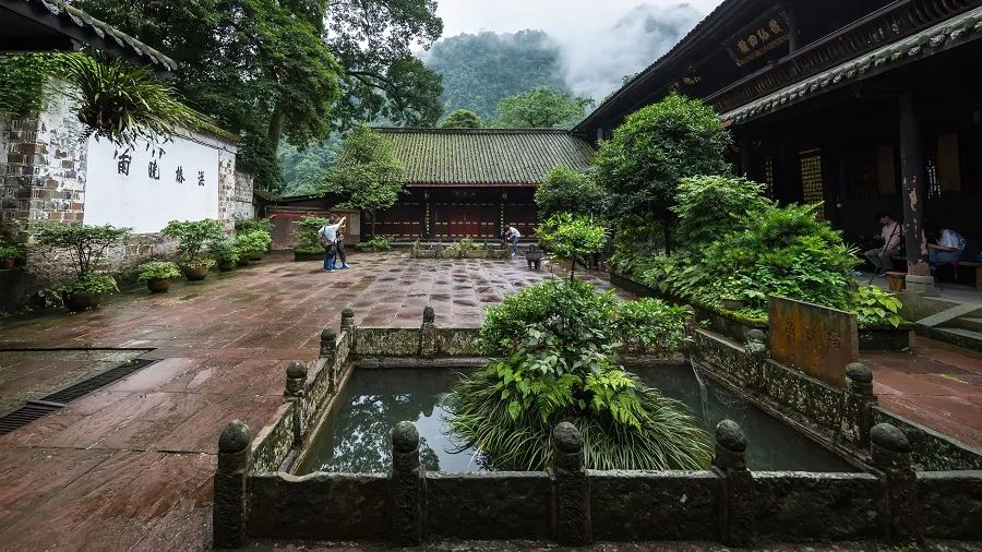 Three days and two nights, please collect the super-complete travel guide of Mount Emei!(图4) Three days and two nights, please collect the super-complete travel guide of Mount Emei!(图4)