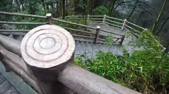 Three days and two nights, please collect the super-complete travel guide of Mount Emei!(图5) Three days and two nights, please collect the super-complete travel guide of Mount Emei!(图5)