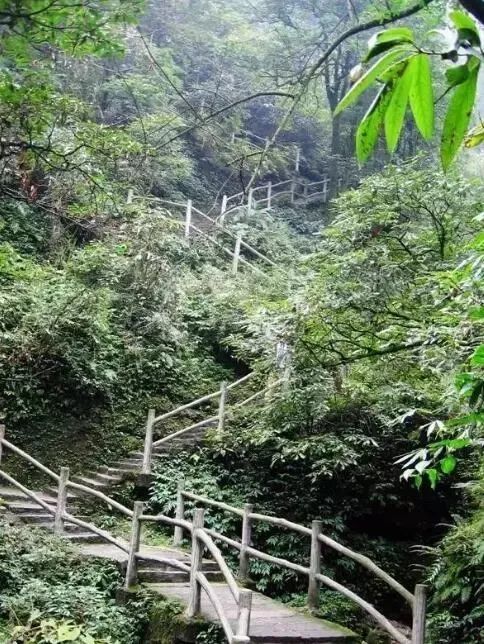 Three days and two nights, please collect the super-complete travel guide of Mount Emei!(图6) Three days and two nights, please collect the super-complete travel guide of Mount Emei!(图6)