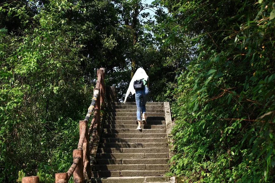 Three days and two nights, please collect the super-complete travel guide of Mount Emei!(图7) Three days and two nights, please collect the super-complete travel guide of Mount Emei!(图7)