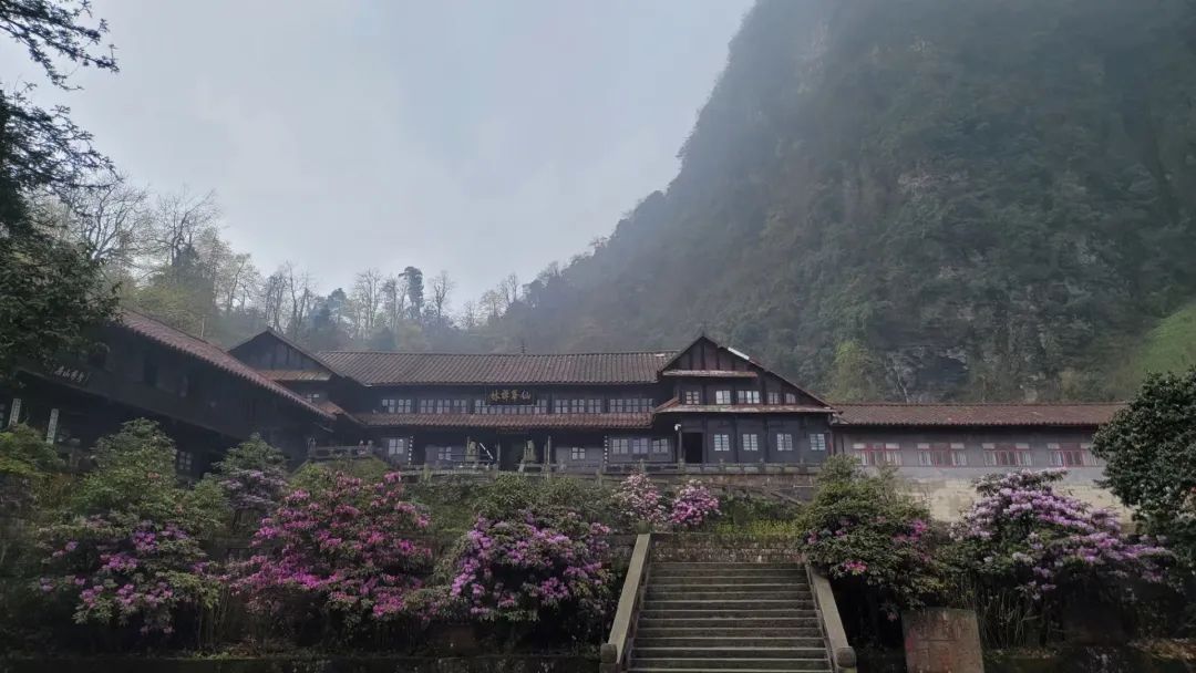 Three days and two nights, please collect the super-complete travel guide of Mount Emei!(图8) Three days and two nights, please collect the super-complete travel guide of Mount Emei!(图8)