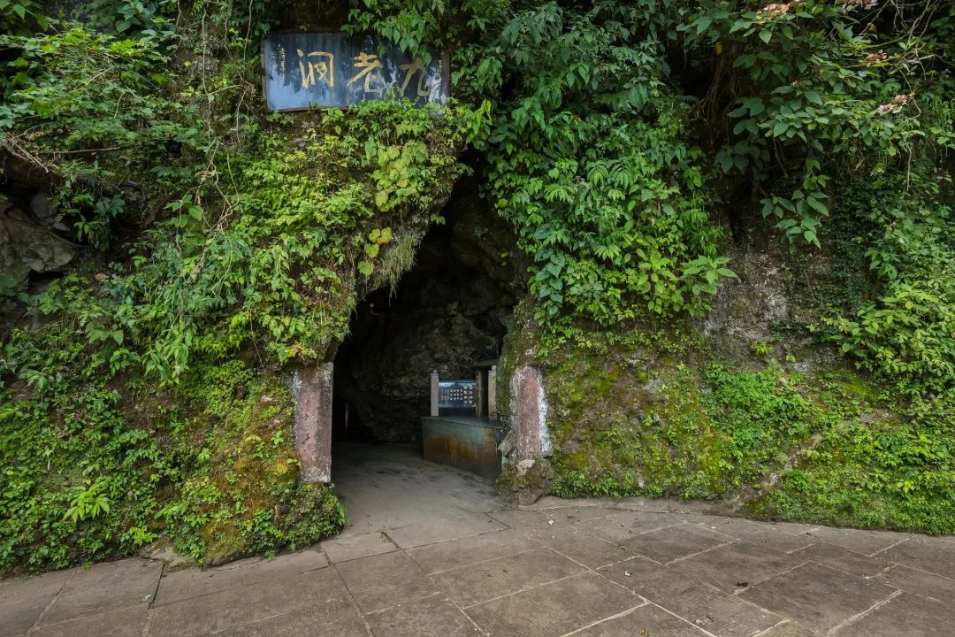 Three days and two nights, please collect the super-complete travel guide of Mount Emei!(图9) Three days and two nights, please collect the super-complete travel guide of Mount Emei!(图9)