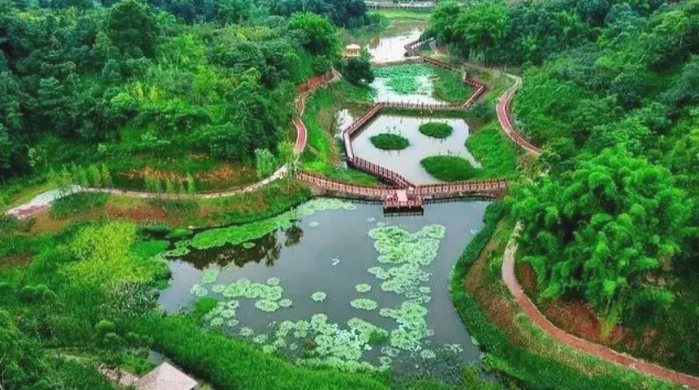 What is the color of early autumn in Leshan?(图3)