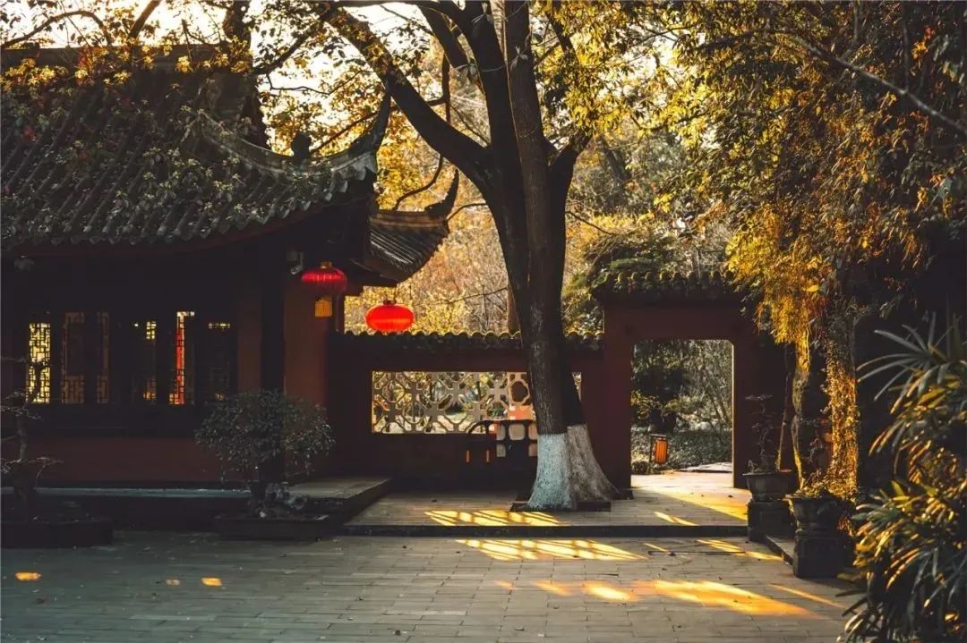 Autumn in Leshan is most obvious in these places(图1)