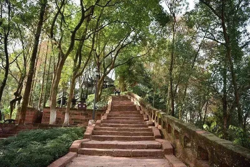 Autumn in Leshan is most obvious in these places(图3)