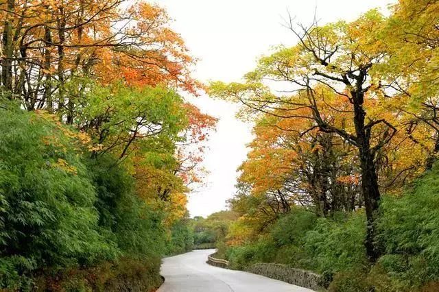 Autumn in Leshan is most obvious in these places(图5)
