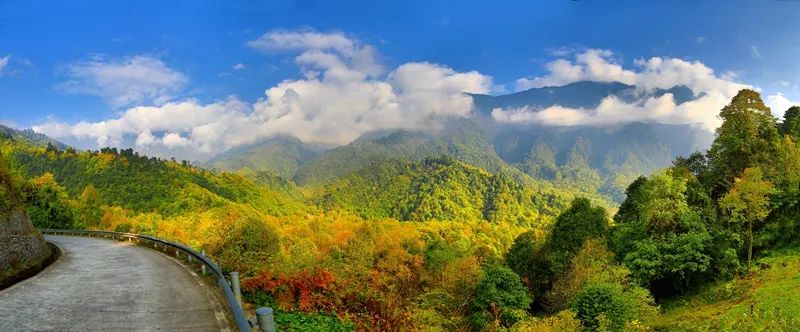 Heizhugou has a splendid tenderness in autumn(图3)
