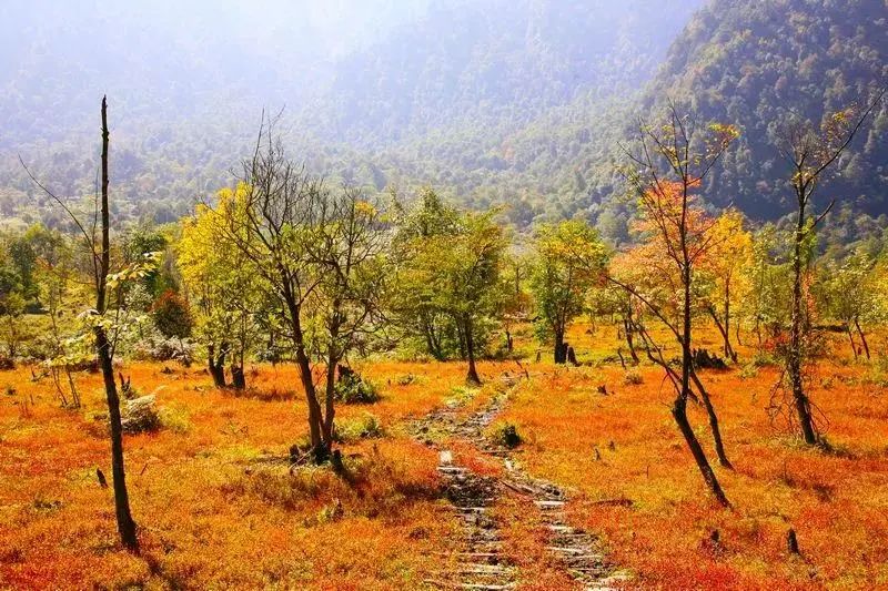 Heizhugou has a splendid tenderness in autumn(图5)