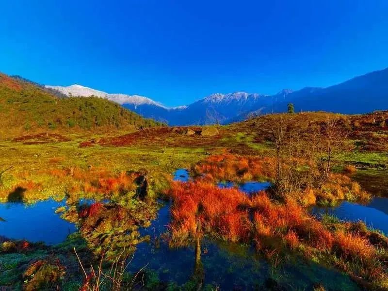 Heizhugou has a splendid tenderness in autumn(图6)