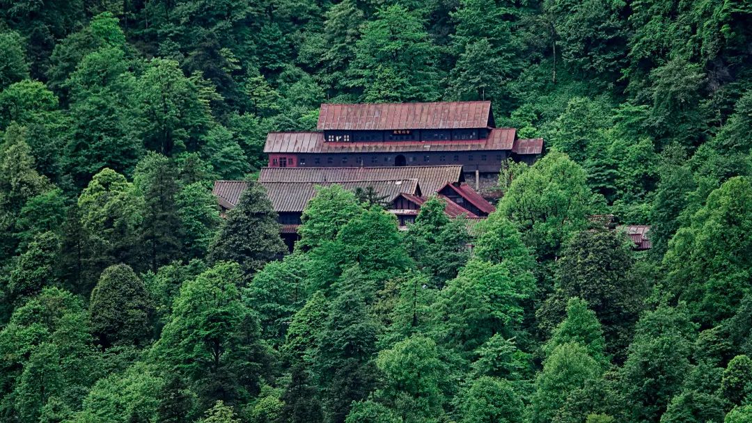 The temple that you can only see when you walk into the clouds is worth a visit!(图2)