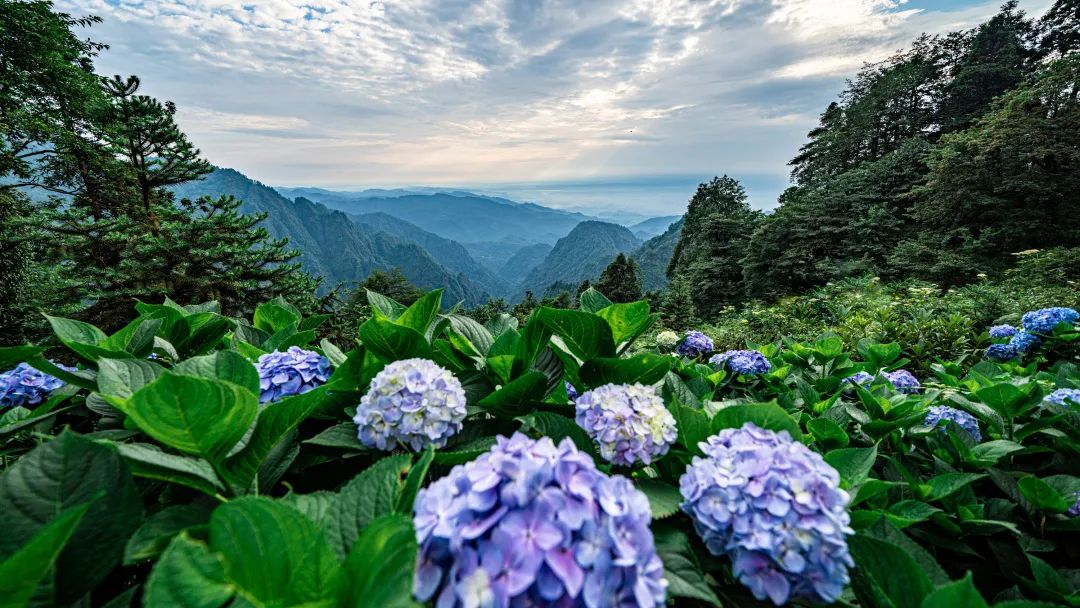 The temple that you can only see when you walk into the clouds is worth a visit!(图5)