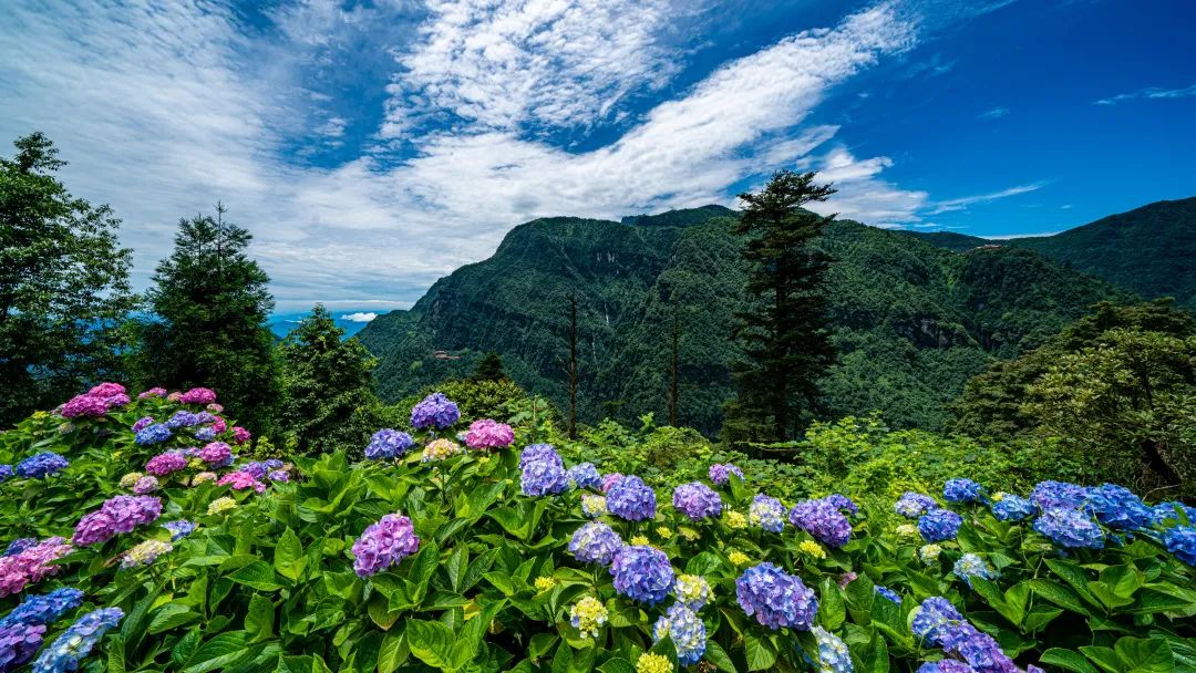 The temple that you can only see when you walk into the clouds is worth a visit!(图6)