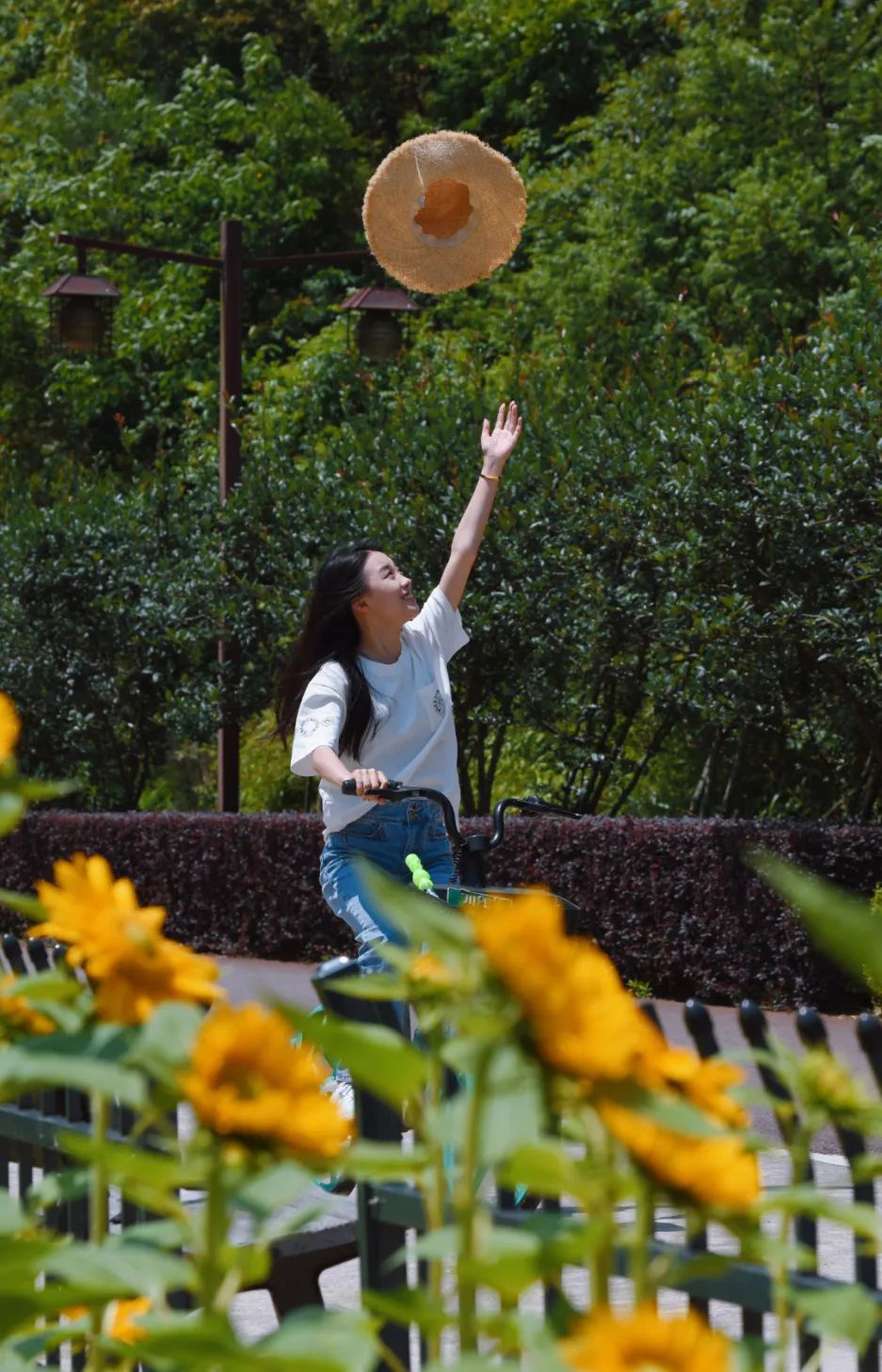 Show you! Oversized Sunflower Sea in Lvxin Park(图4)