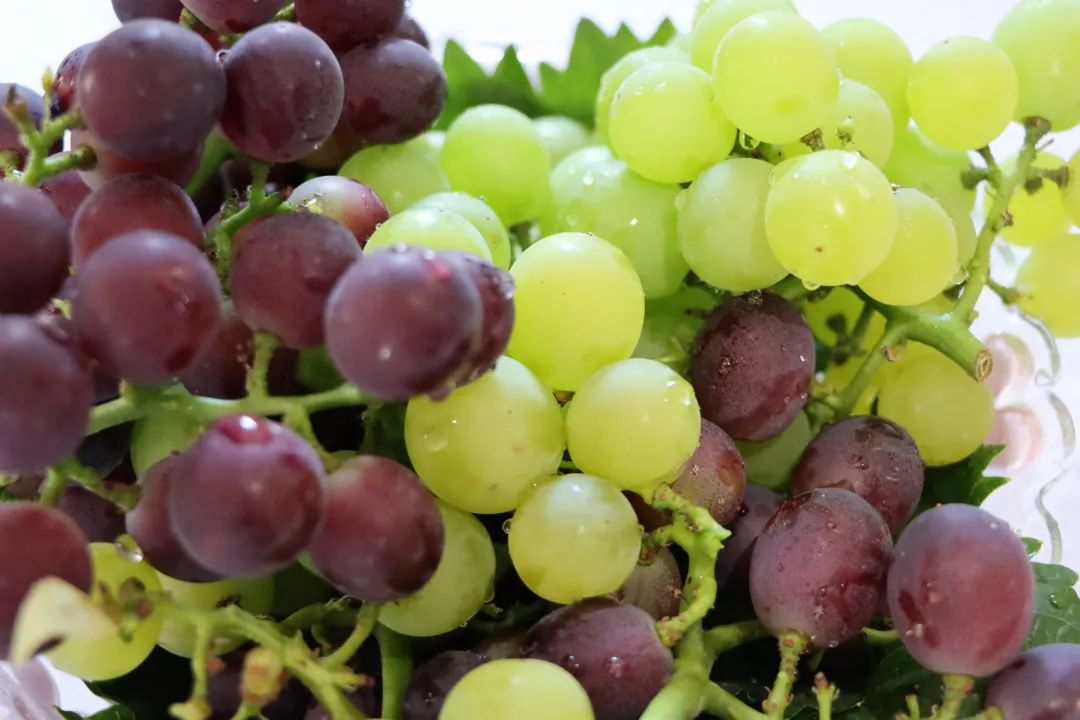 Take this super complete grape picking map of Leshan and make an appointment at the weekend!(图6)