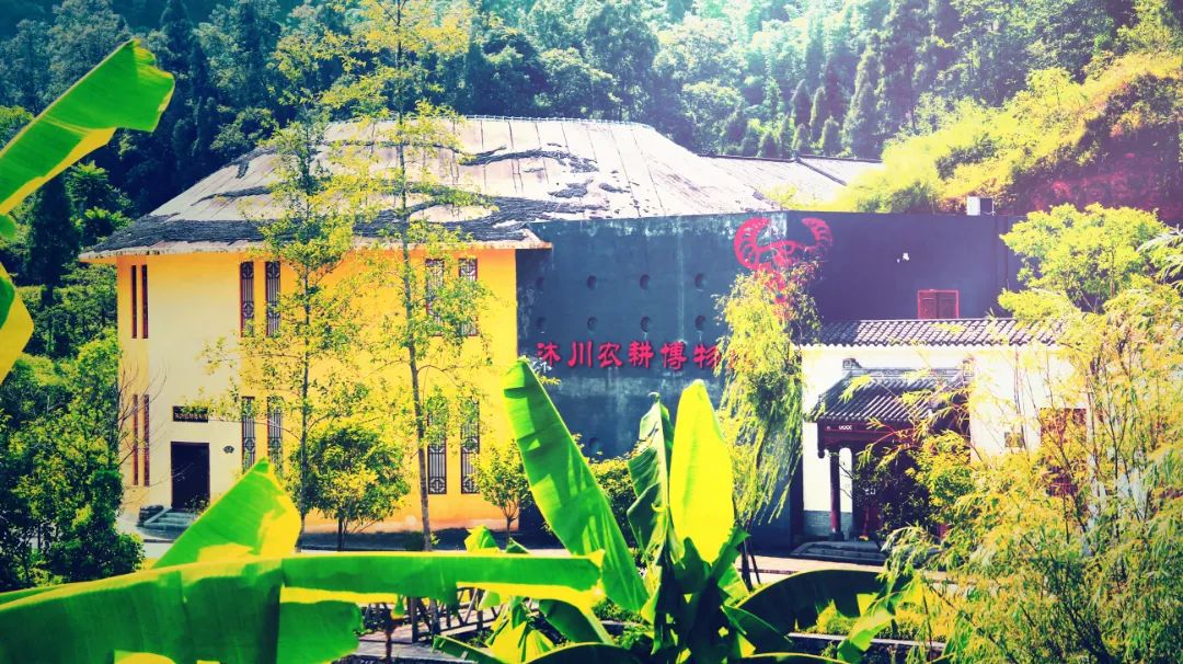 Muchuan County hides a super cool summer! !(图5)