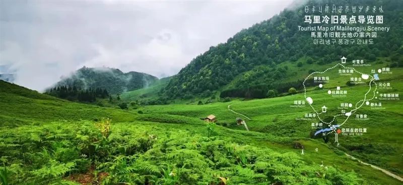 How many of these beautiful autumn tourist attractions have you been to Leshan?(图1) How many of these beautiful autumn tourist attractions have you been to Leshan?(图1)