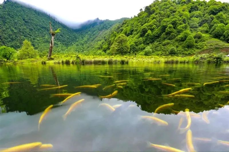 How many of these beautiful autumn tourist attractions have you been to Leshan?(图2) How many of these beautiful autumn tourist attractions have you been to Leshan?(图2)