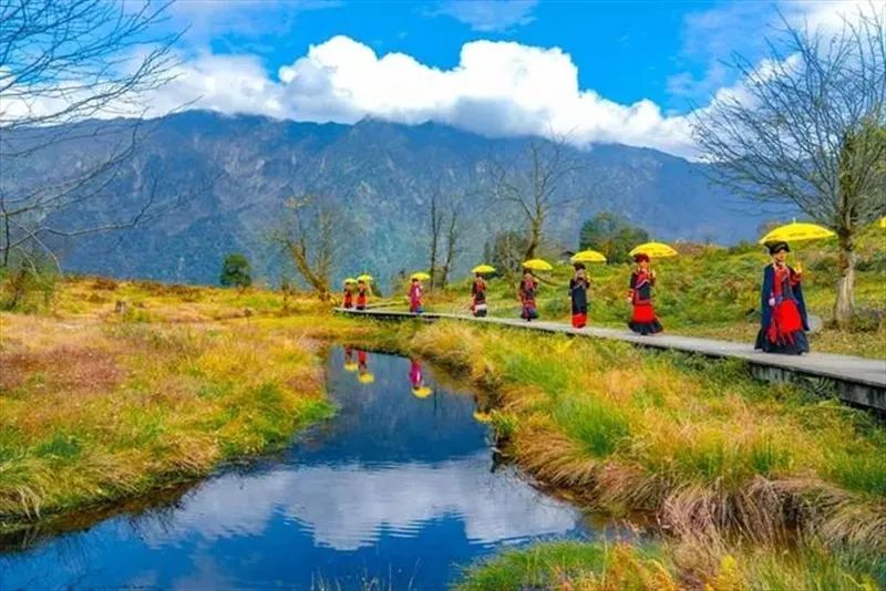 How many of these beautiful autumn tourist attractions have you been to Leshan?(图3) How many of these beautiful autumn tourist attractions have you been to Leshan?(图3)