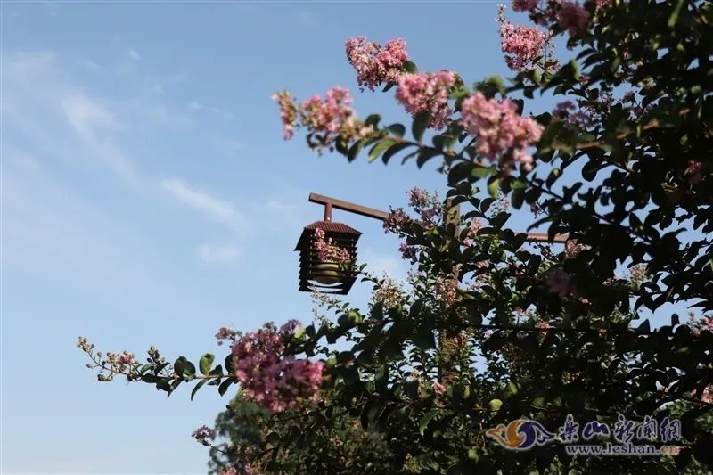 How many of these beautiful autumn tourist attractions have you been to Leshan?(图5) How many of these beautiful autumn tourist attractions have you been to Leshan?(图5)