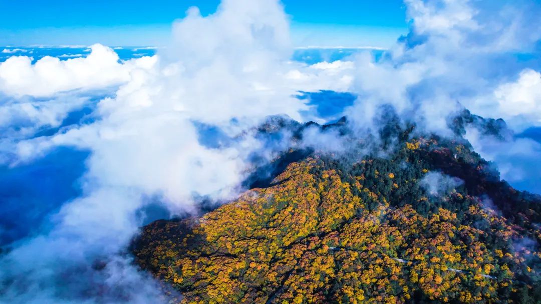 How many of these beautiful autumn tourist attractions have you been to Leshan?(图21) How many of these beautiful autumn tourist attractions have you been to Leshan?(图21)