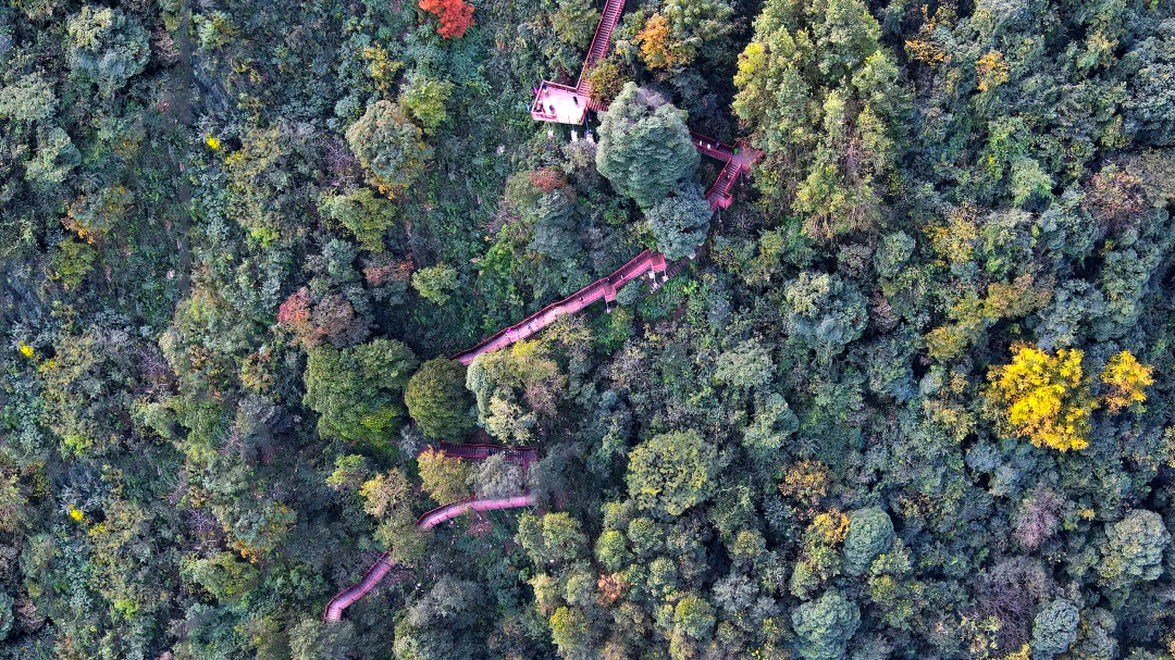 How many of these beautiful autumn tourist attractions have you been to Leshan?(图24) How many of these beautiful autumn tourist attractions have you been to Leshan?(图24)