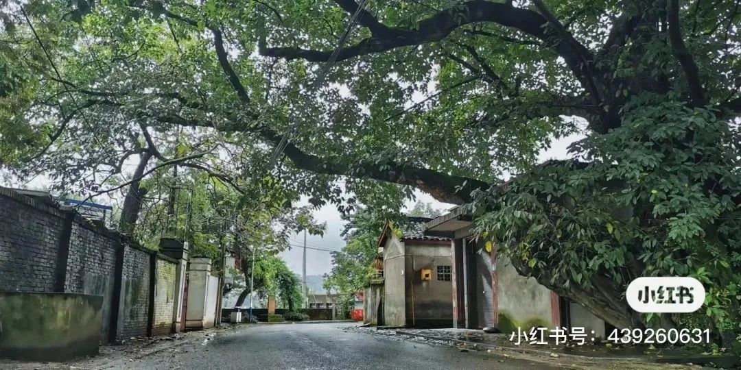 Leshan, the 14 ancient towns have few tourists and beautiful scenery!(图13) Leshan, the 14 ancient towns have few tourists and beautiful scenery!(图13)