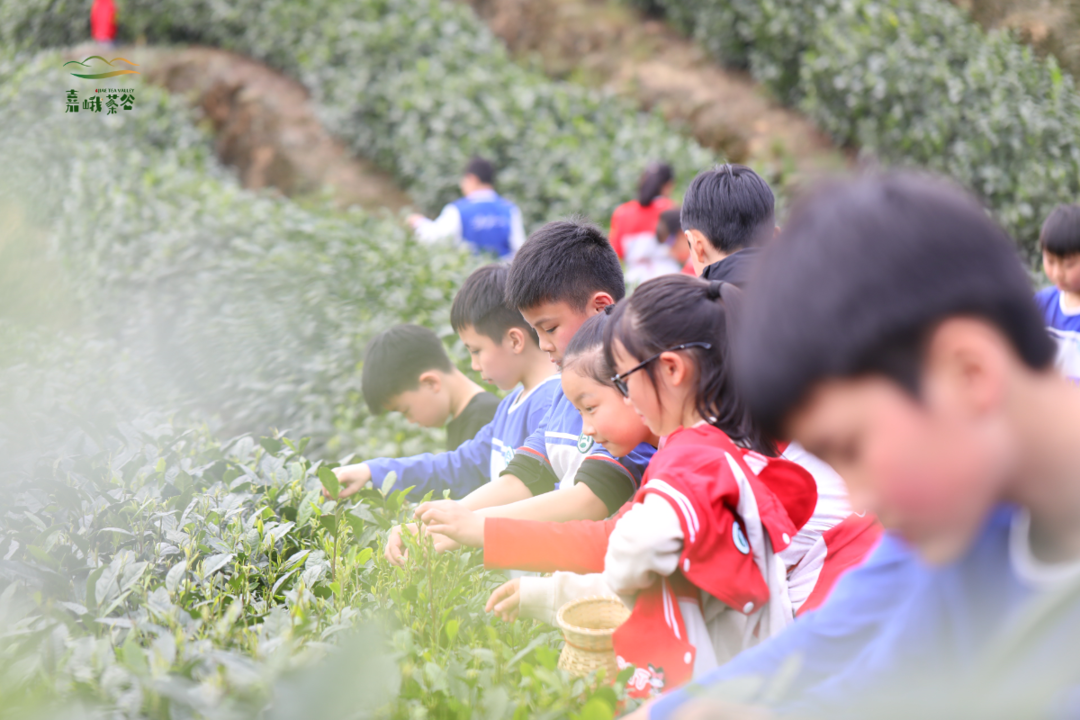 Its a good place for spring outing, and you can play all the way along the Emei River!(图5)