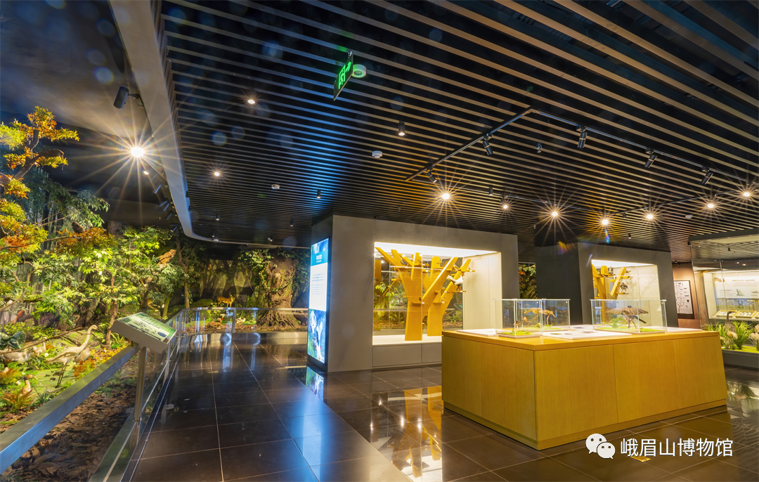 Publicity of the first batch of cultural and museum research bases and research courses  Province(图7)