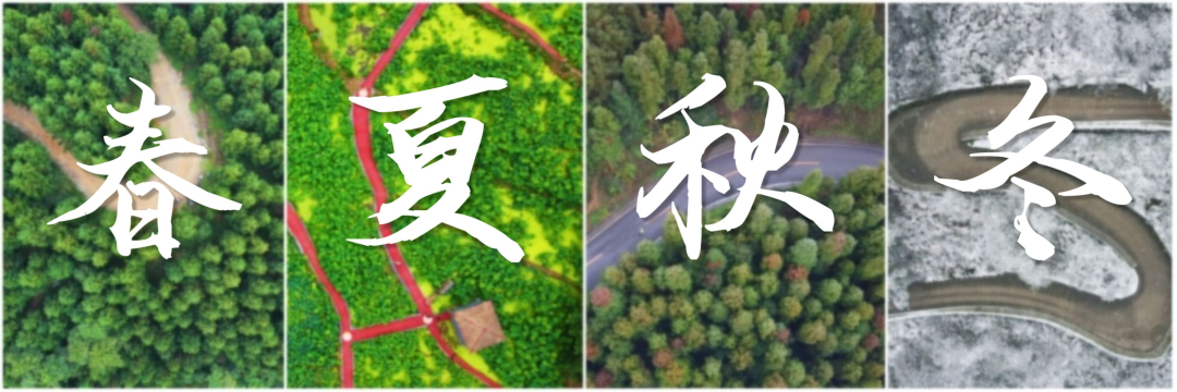 Have you ever been to the six most beautiful rural roads in Shawan?(图1)