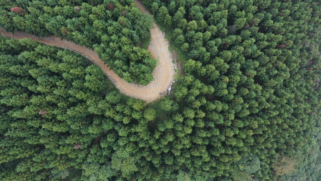 Have you ever been to the six most beautiful rural roads in Shawan?(图2)