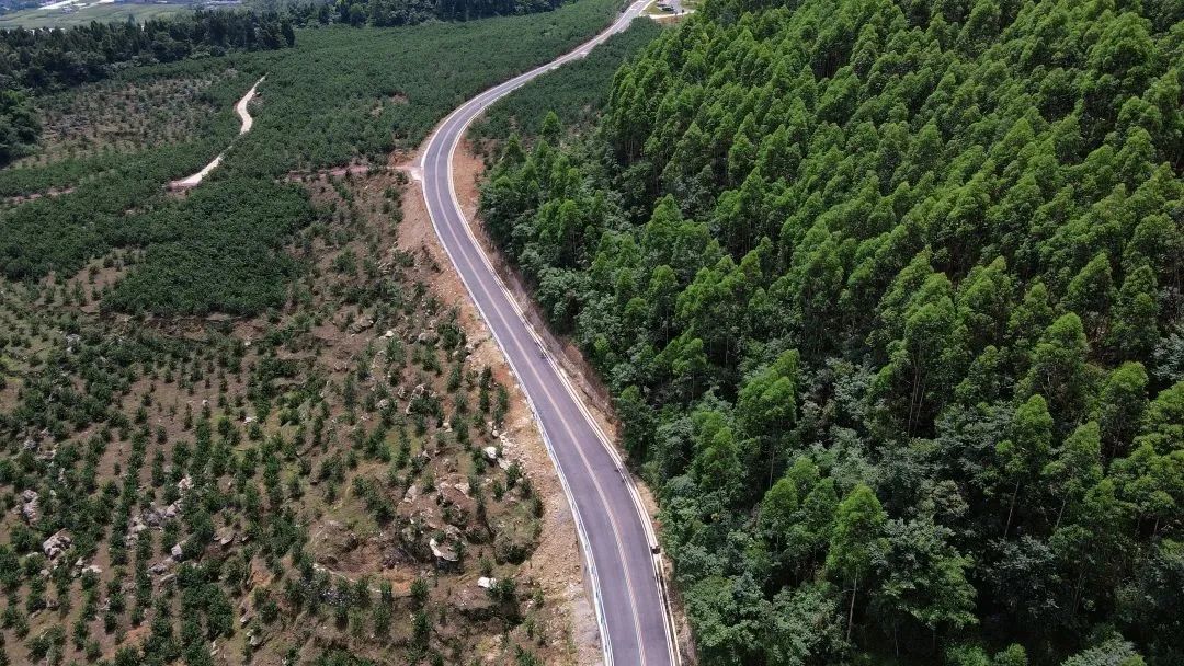 Have you ever been to the six most beautiful rural roads in Shawan?(图4)