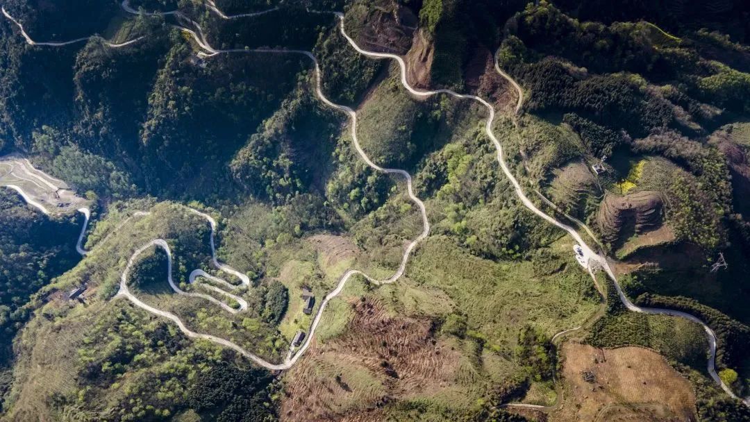 Have you ever been to the six most beautiful rural roads in Shawan?(图5)