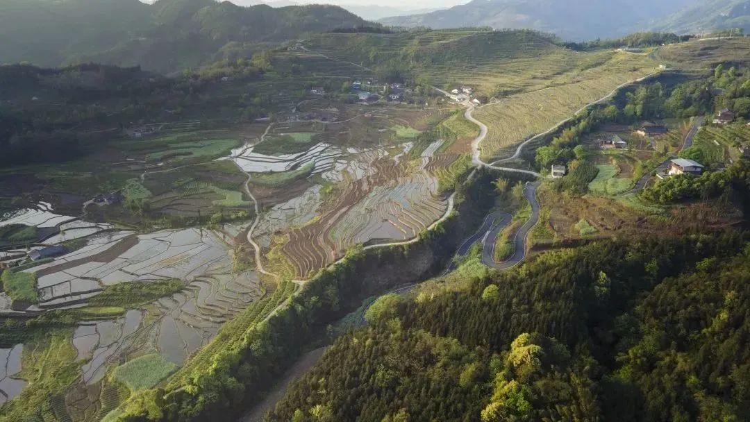 Have you ever been to the six most beautiful rural roads in Shawan?(图6)