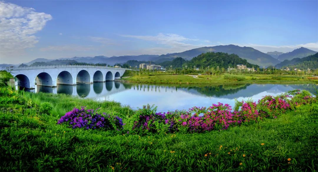 The scenery of Muchuan Bamboo Sea is really beautiful(图1)