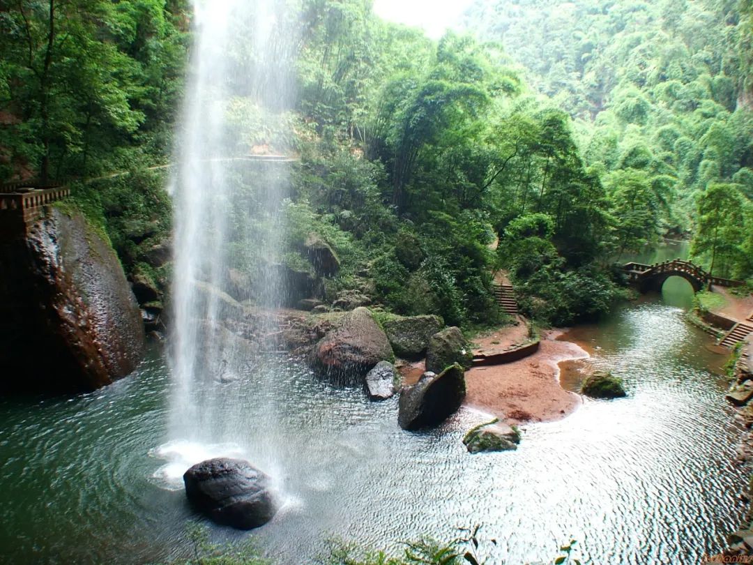 The scenery of Muchuan Bamboo Sea is really beautiful(图4)
