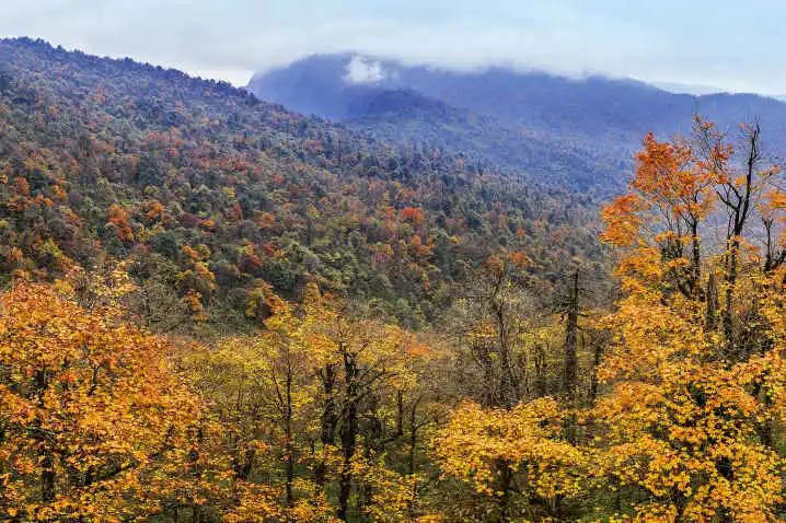 Thats why we must go to Mabian in autumn(图4) Thats why we must go to Mabian in autumn(图4)